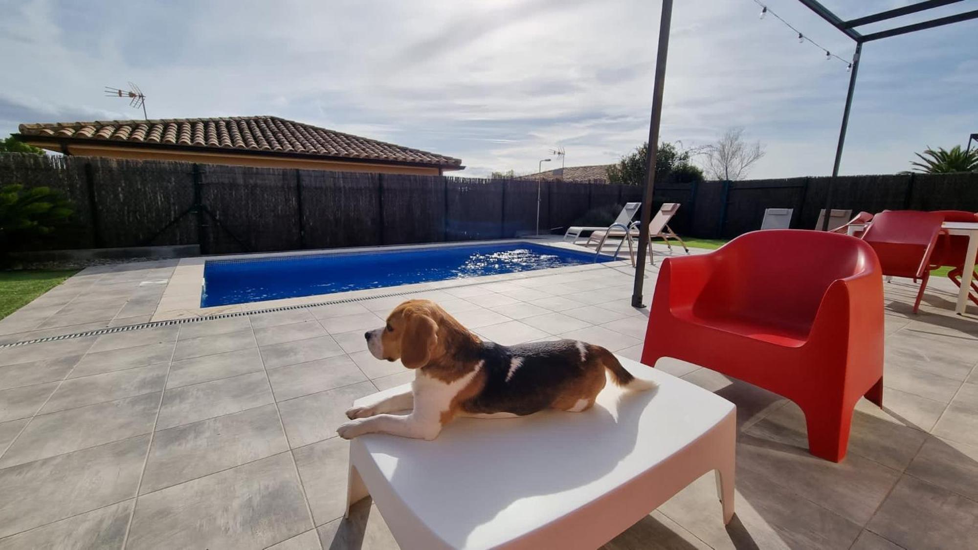 Villas Medes Mar - Plus Costa Brava ลาเอสตาร์ติต ภายนอก รูปภาพ