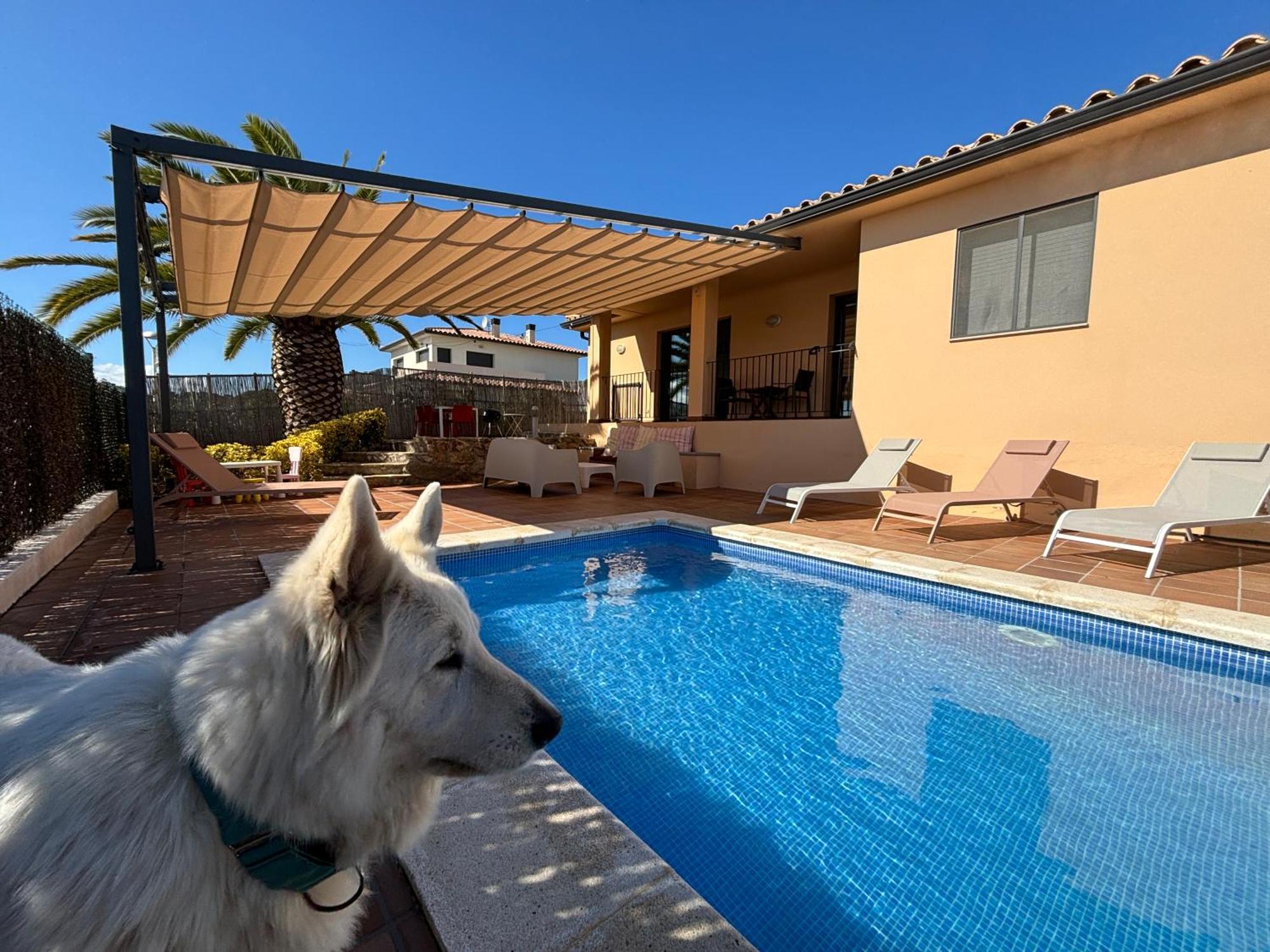 Villas Medes Mar - Plus Costa Brava ลาเอสตาร์ติต ภายนอก รูปภาพ